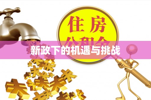 长岛新政下的机遇与挑战