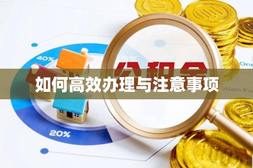 长岛如何高效办理与注意事项