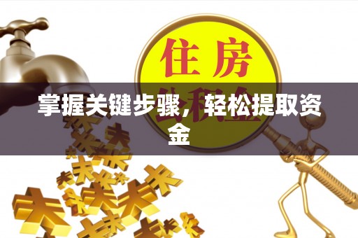 长岛掌握关键步骤，轻松提取资金
