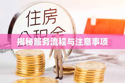 长岛揭秘服务流程与注意事项