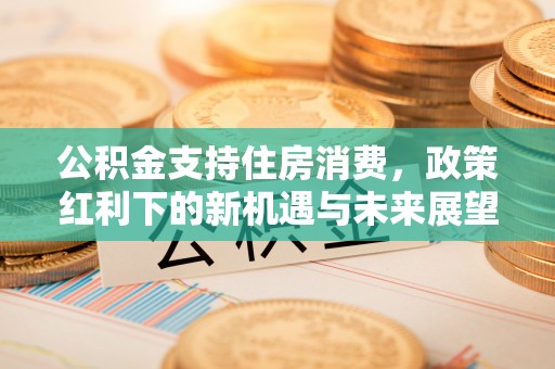长岛公积金支持住房消费，政策红利下的新机遇与未来展望