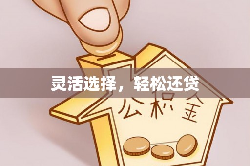 长岛灵活选择，轻松还贷