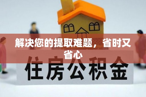 长岛解决您的提取难题，省时又省心