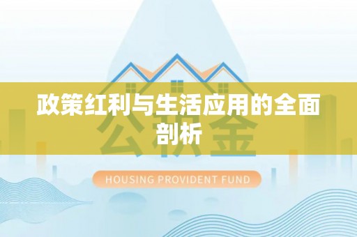 长岛政策红利与生活应用的全面剖析