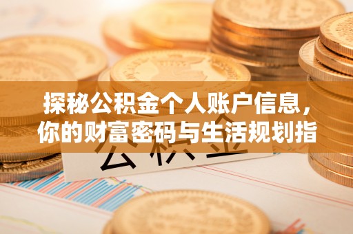 长岛探秘公积金个人账户信息，你的财富密码与生活规划指南