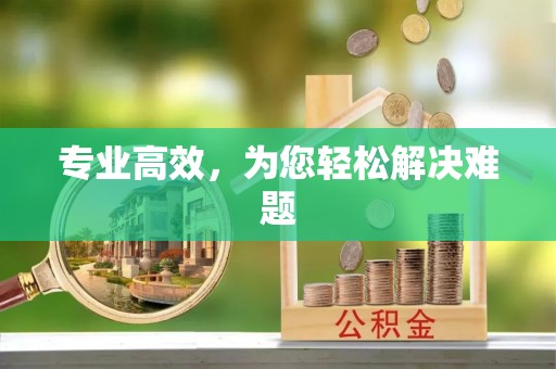 长岛专业高效，为您轻松解决难题
